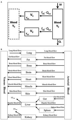 Maternal-Fetal Pharmacology of Drugs: A Review of Current Status of the Application of Physiologically Based Pharmacokinetic Models